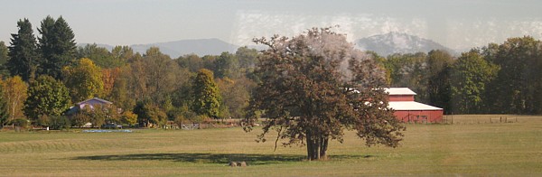 Pasture south of Eugene