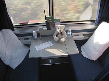 Shakesbear relaxes in the Roomette