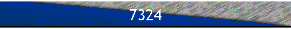 7324
