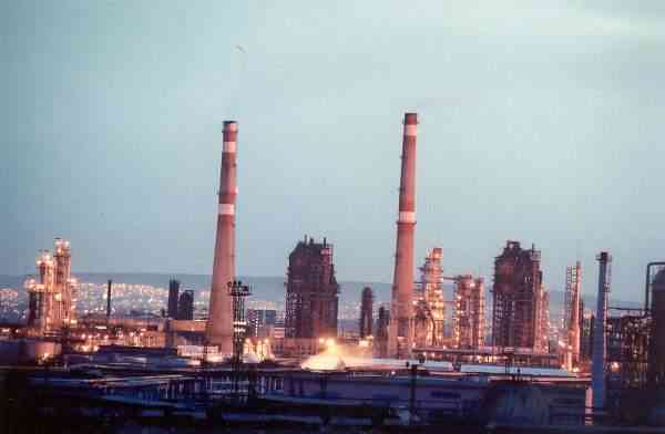 gas_msg_plant.jpg