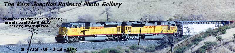 header19.jpg (39926 bytes)