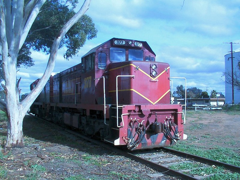 Photograph
