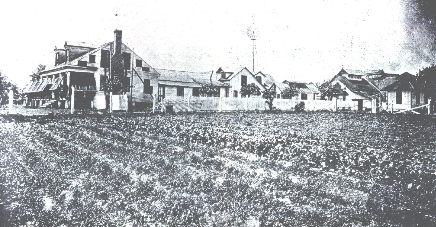 Another image of Villa Alba, possibly taken from the right hand side of the building, relative to the previous image.