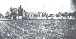Another view of Villa Alba, possibly from the right side of the image with Gould.