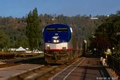 Amtrak 135  Flagstaff, AZ