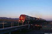 ATSF 664  Bagdad, CA