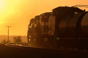 BNSf 559  Siberia, CA