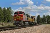 BNSF 761, Williams Jct., AZ