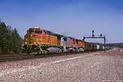 BNSF 4678  Williams, AZ