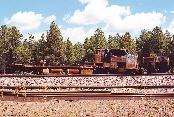 BNSF 4499  Bellemont, AZ