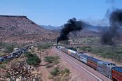 SF 3751  Crozier Cyn., AZ