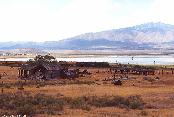 Bauer, UT