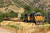 UP 2178  Uintah, UT