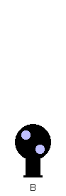 Dwarf CPL left diagonal Lunar White