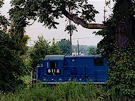 C30throughtrees_tn.jpg (20397 bytes)