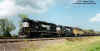 Ns7019.jpg (66834 bytes)