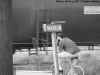 bike.jpg (87209 bytes)