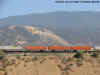 ns2634Calientea.jpg (118613 bytes)