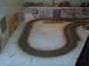 trackpaint1.jpg (108516 bytes)