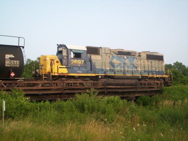 _7732.jpg