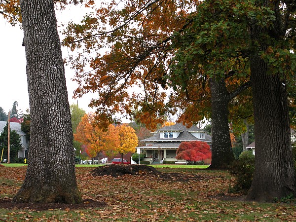 Bush Pasture Park