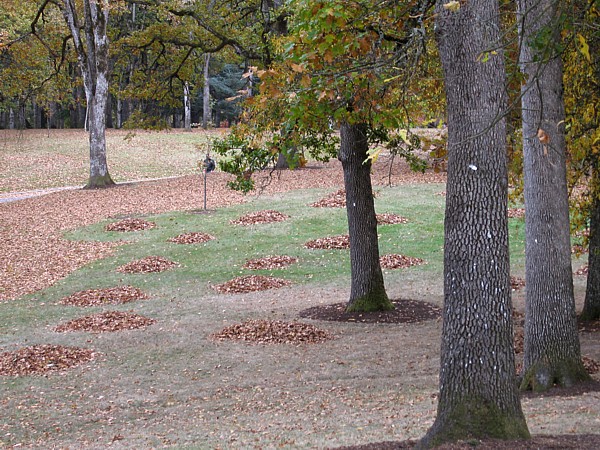 Bush Park