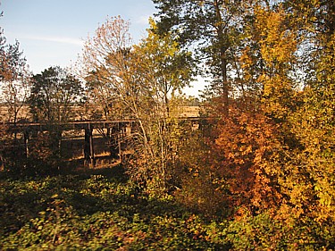 Fall color