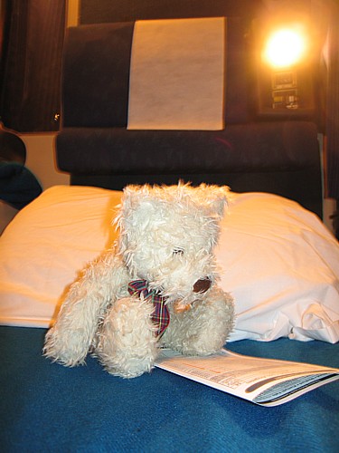 Shakesbear studies the timetable before retiring