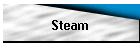 Steam