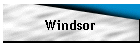 Windsor