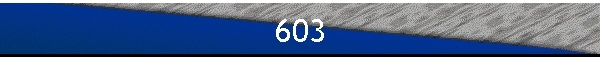 603
