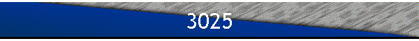 3025