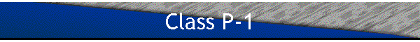 Class P-1