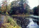Cuddebackville