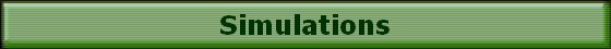 Simulations