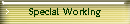 Special Working