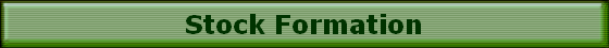 Stock Formation