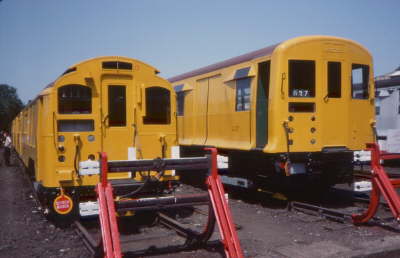 L127 and L153