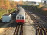 D78 Stock