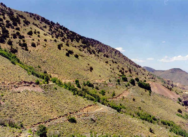 Eureka Hill.