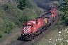cp4507-t.jpg (3248 bytes)