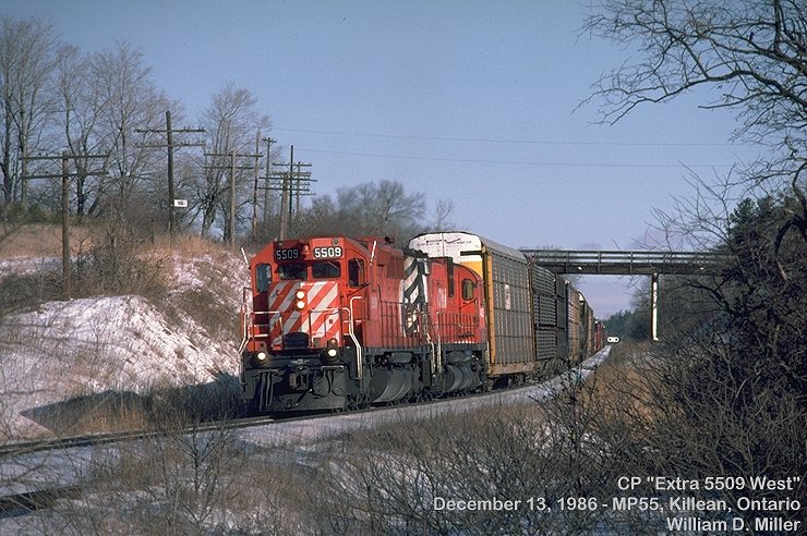 CP 5509