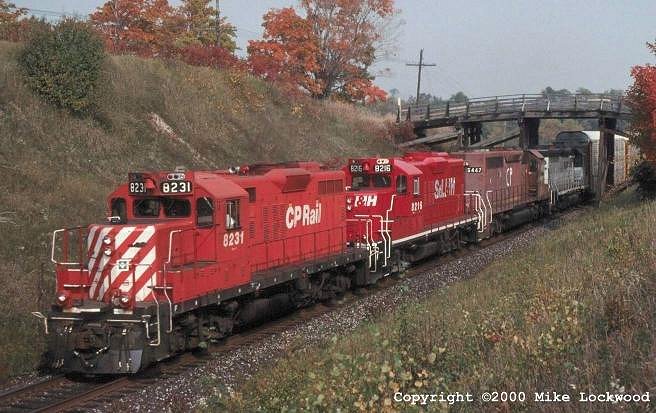 CP 8231