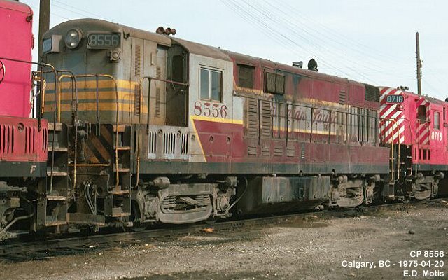 CP 8556