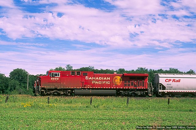 CP 8556