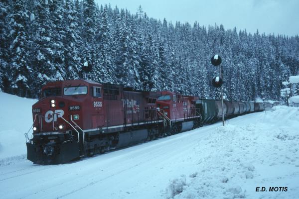 CP 9555