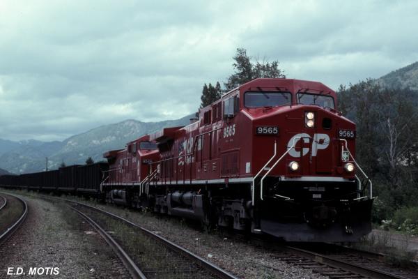 CP 9565