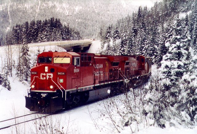 CP 9604