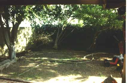 yard before construction