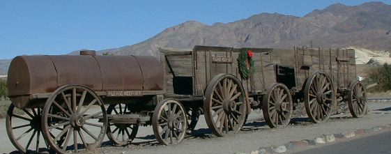 20 mule team